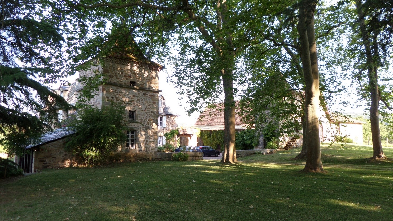 Allée de platanes, Est, orientation Ouest