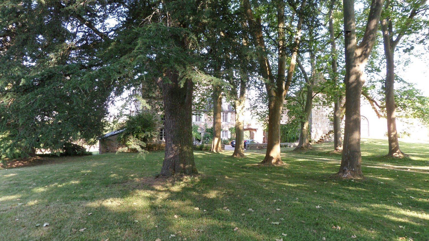 Allée de platanes, Est, orientation Ouest